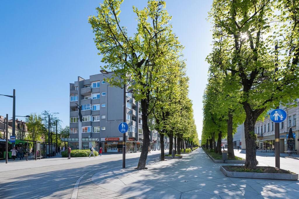 Central 2 Bd Apartment By Hostlovers Каунас Екстериор снимка